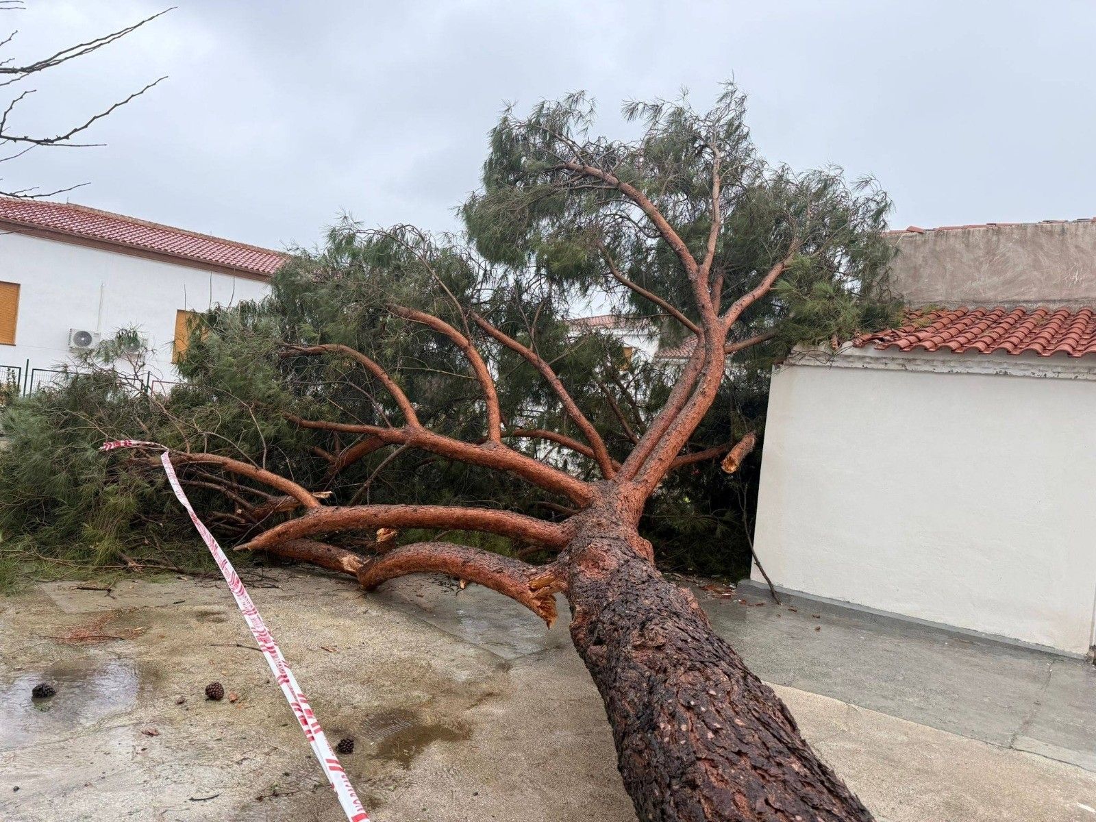 Viento, agua y destrozos: las imágenes de los efectos de la borrasca en la provincia de Granada