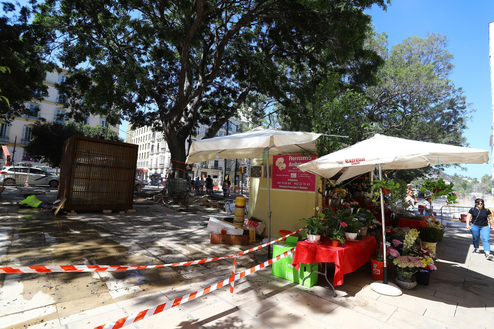 Las fotos de los nuevos puestos de flores de la Alameda