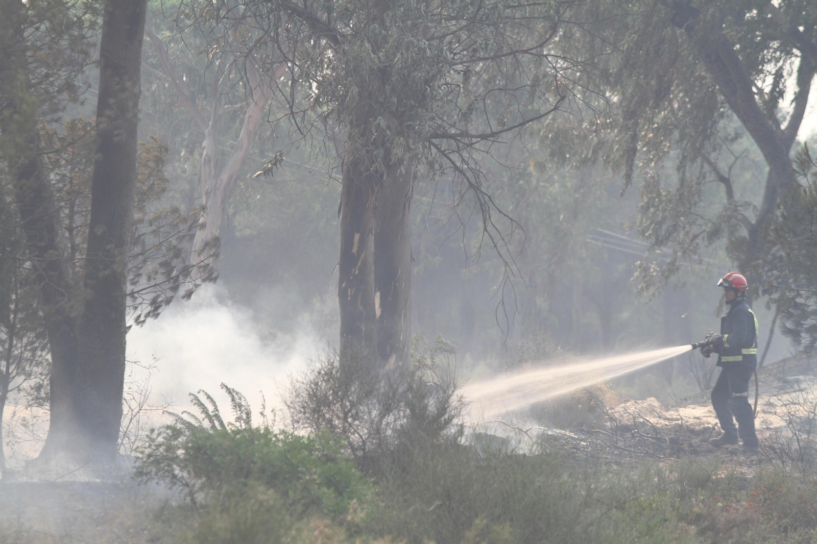 Las imágenes del incendio en Moguer y Mazagón