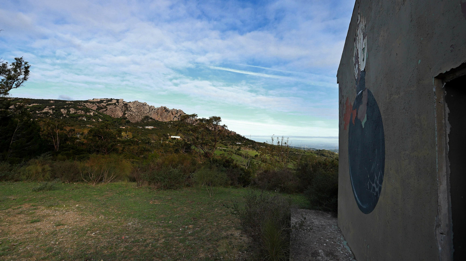 Las mejores fotos de Paloma Alta