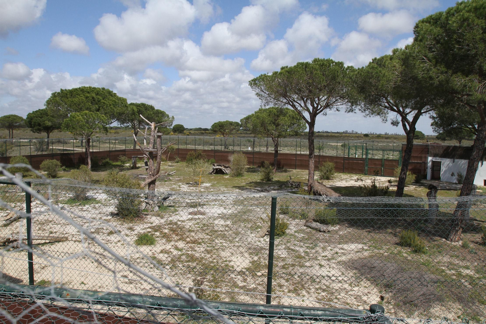 Susana Díaz inaugura en Doñana el Observatorio del Lince
