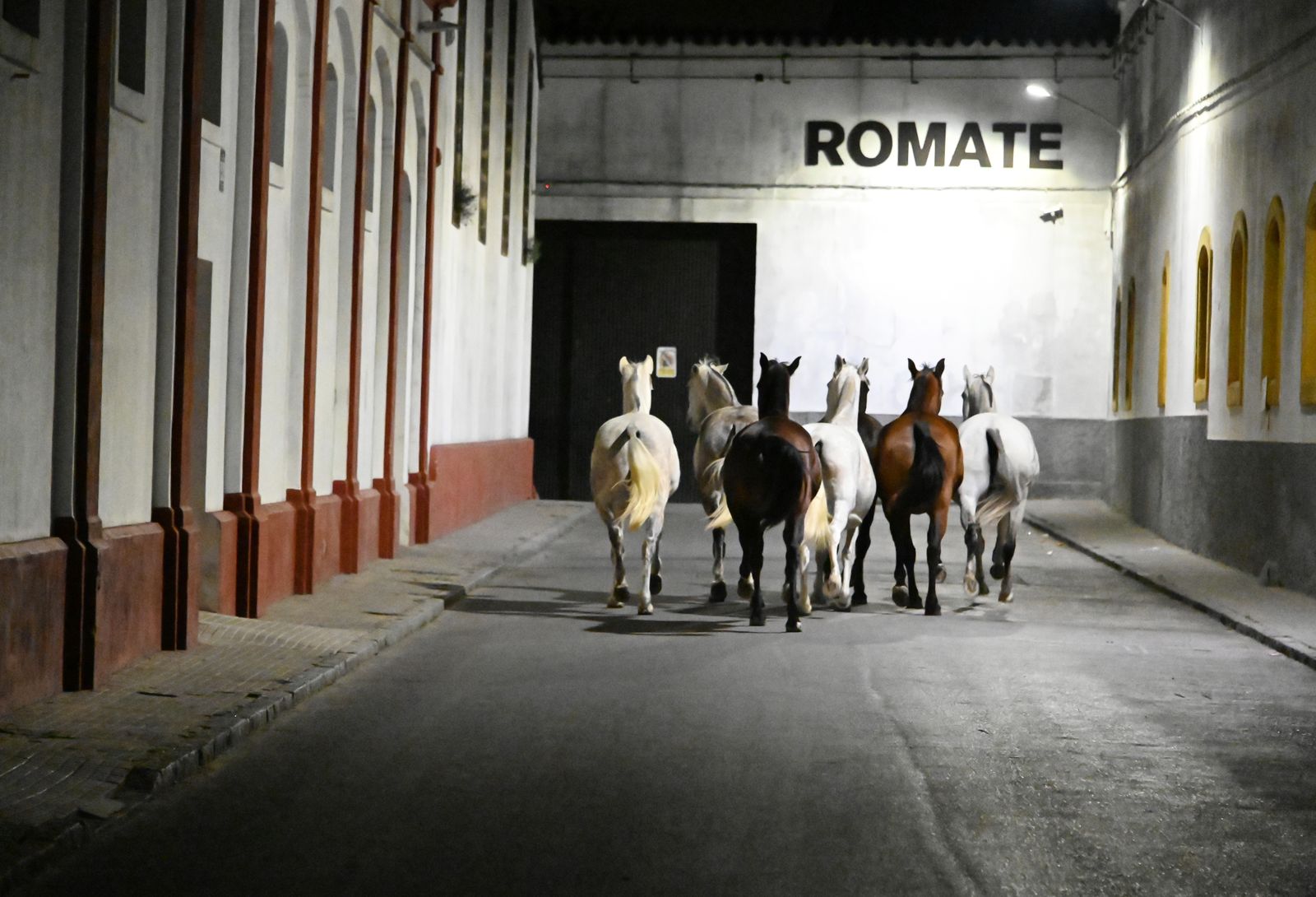 Rodaje de la película 'Siete Jereles' de Gonzalo García-Pelayo en Jerez