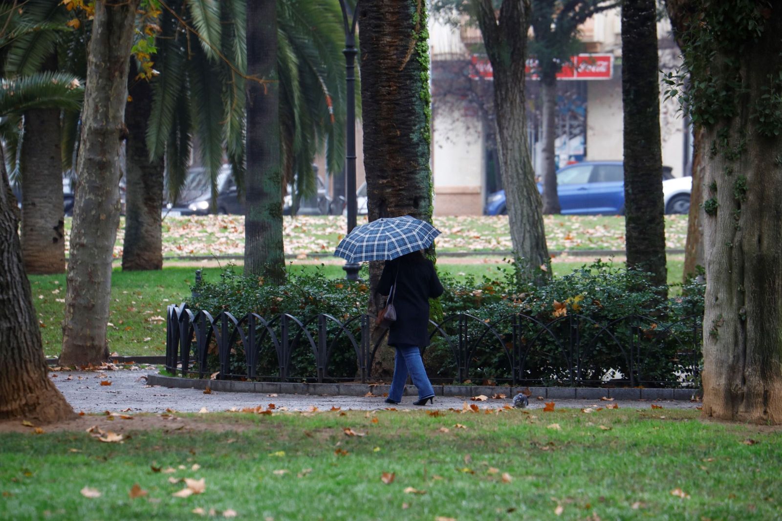 El paso de la borrasca Goretti por Córdoba