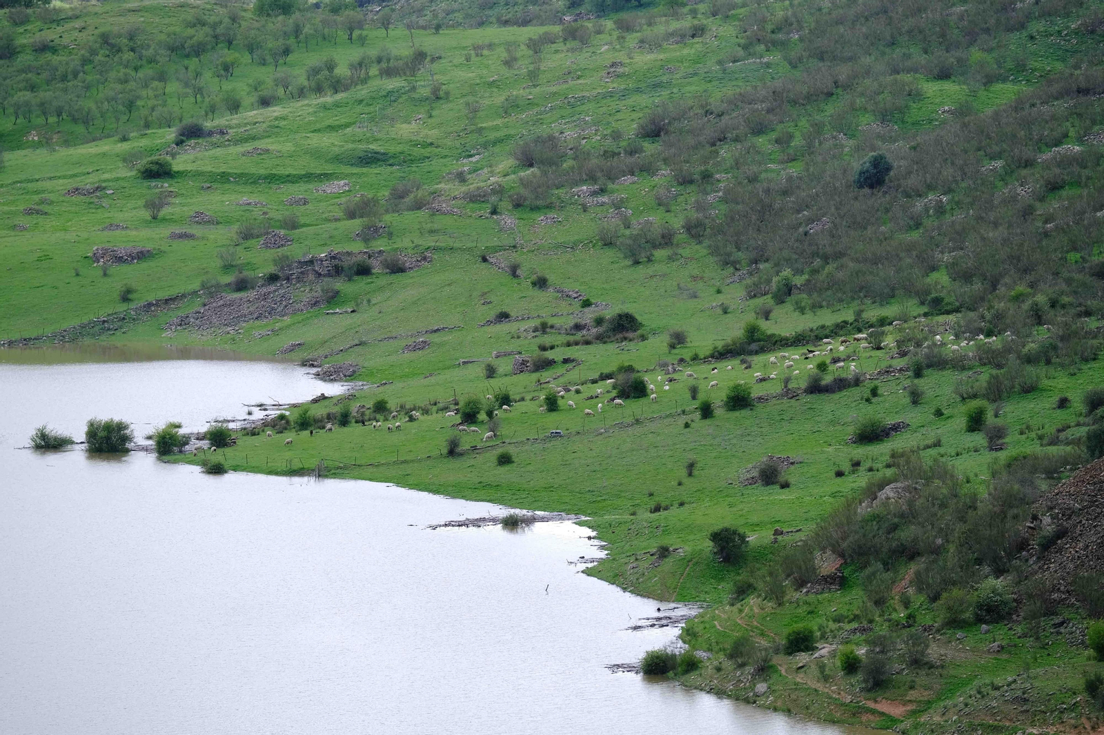 La ruta del agua en Ronda, en fotos