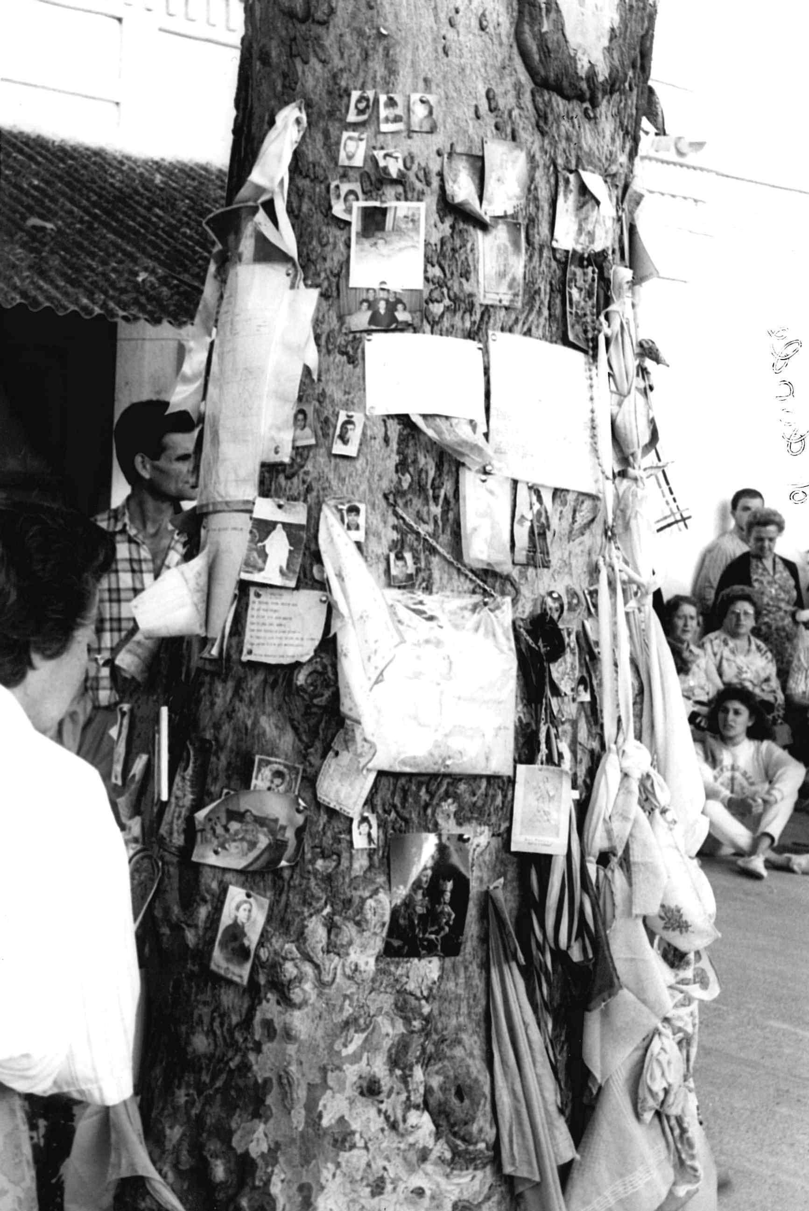 Detalle de los exvotos en el árbol de la estación de El Repilado que durante años han seguido en el tronco.