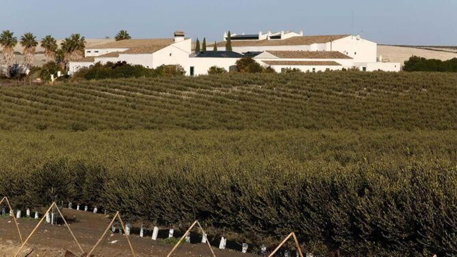 Imagen del Cortijo de Ducha.