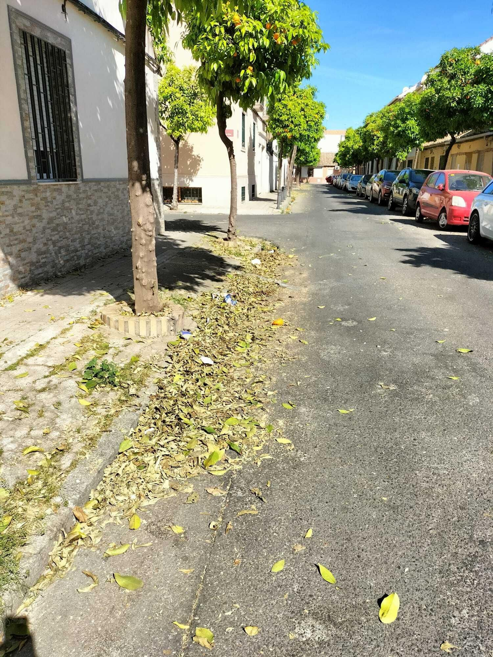 Suciedad en las calles.