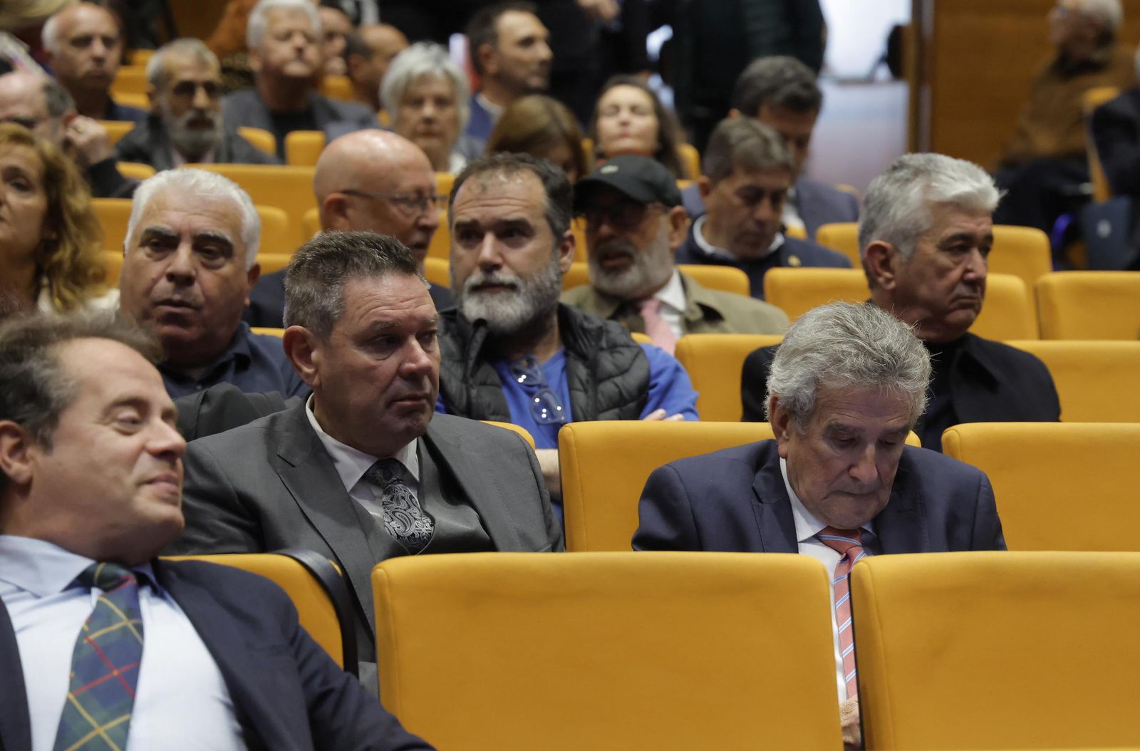 Las fotos del acto de entrega de la Medalla de Oro de Dos Hermanas a Francisco Toscano