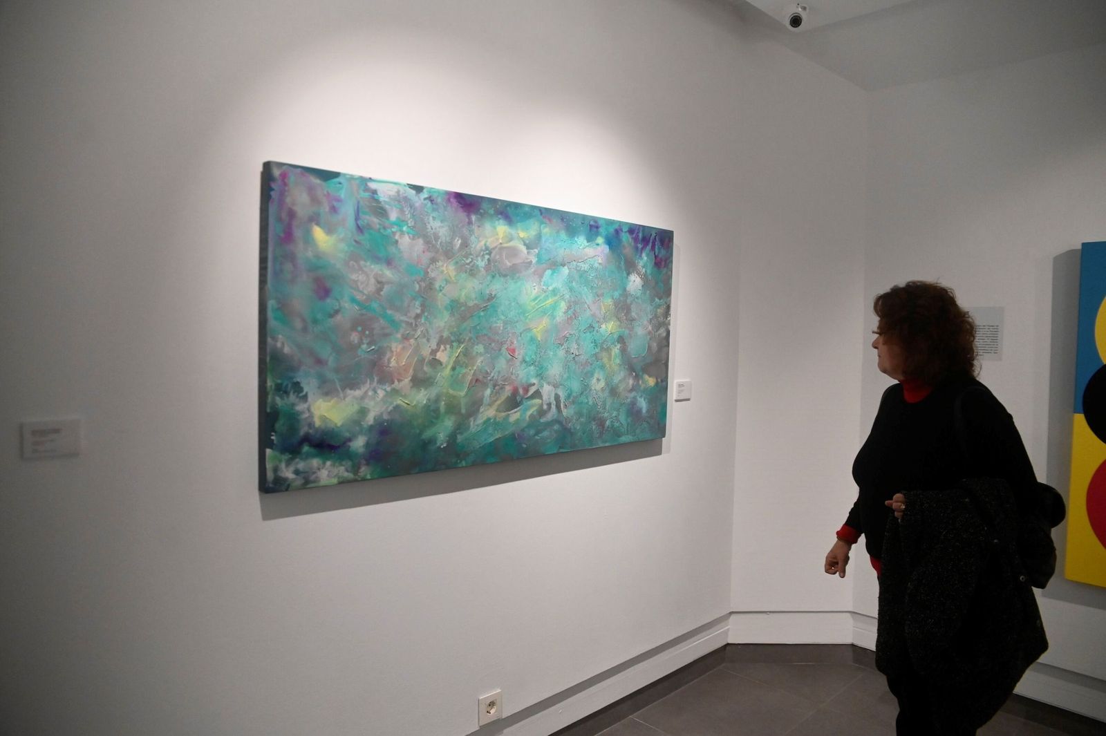 Obra de la muestra 'Arde el día. Pintura y paisaje desde Rafael Botí hasta la actualidad' expuesta hasta el 1 de marzo.