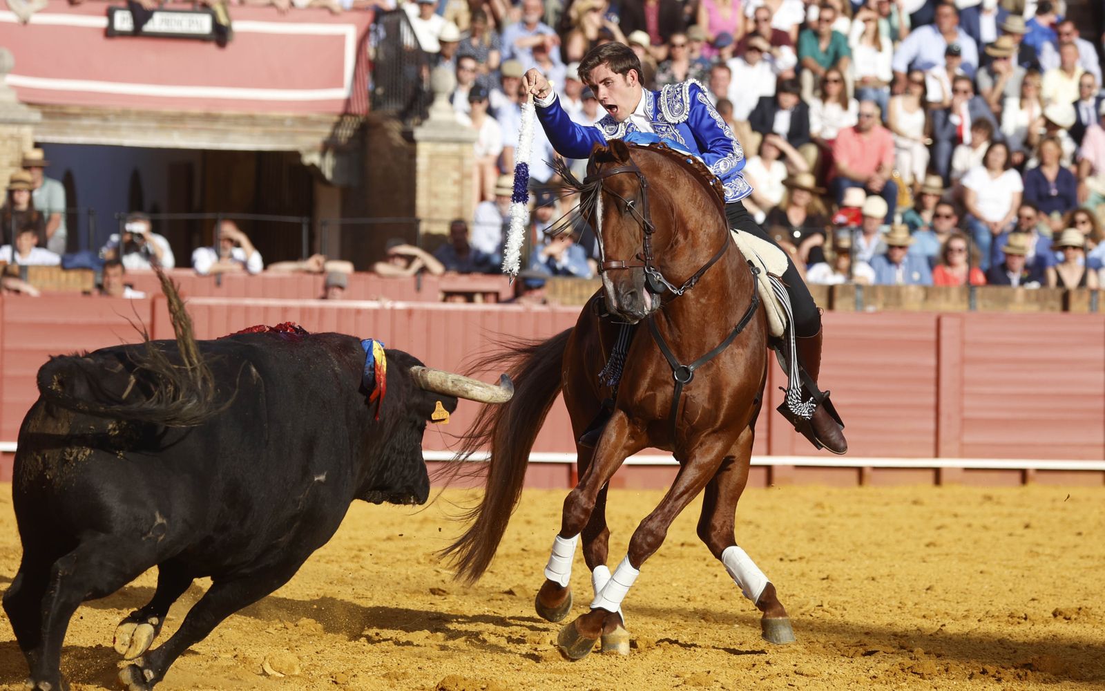 La corrida de rejones en imágenes