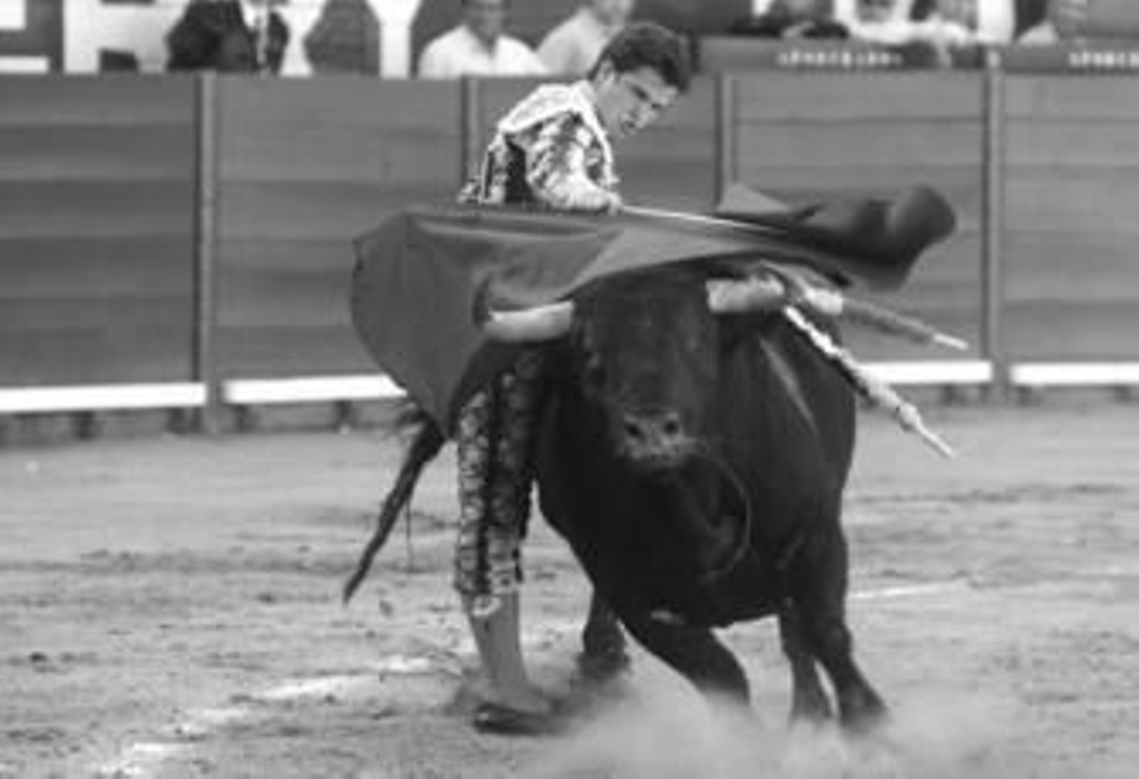 El Juli y El Fandi salen en hombros en el tercer festejo de la Feria del Caballo