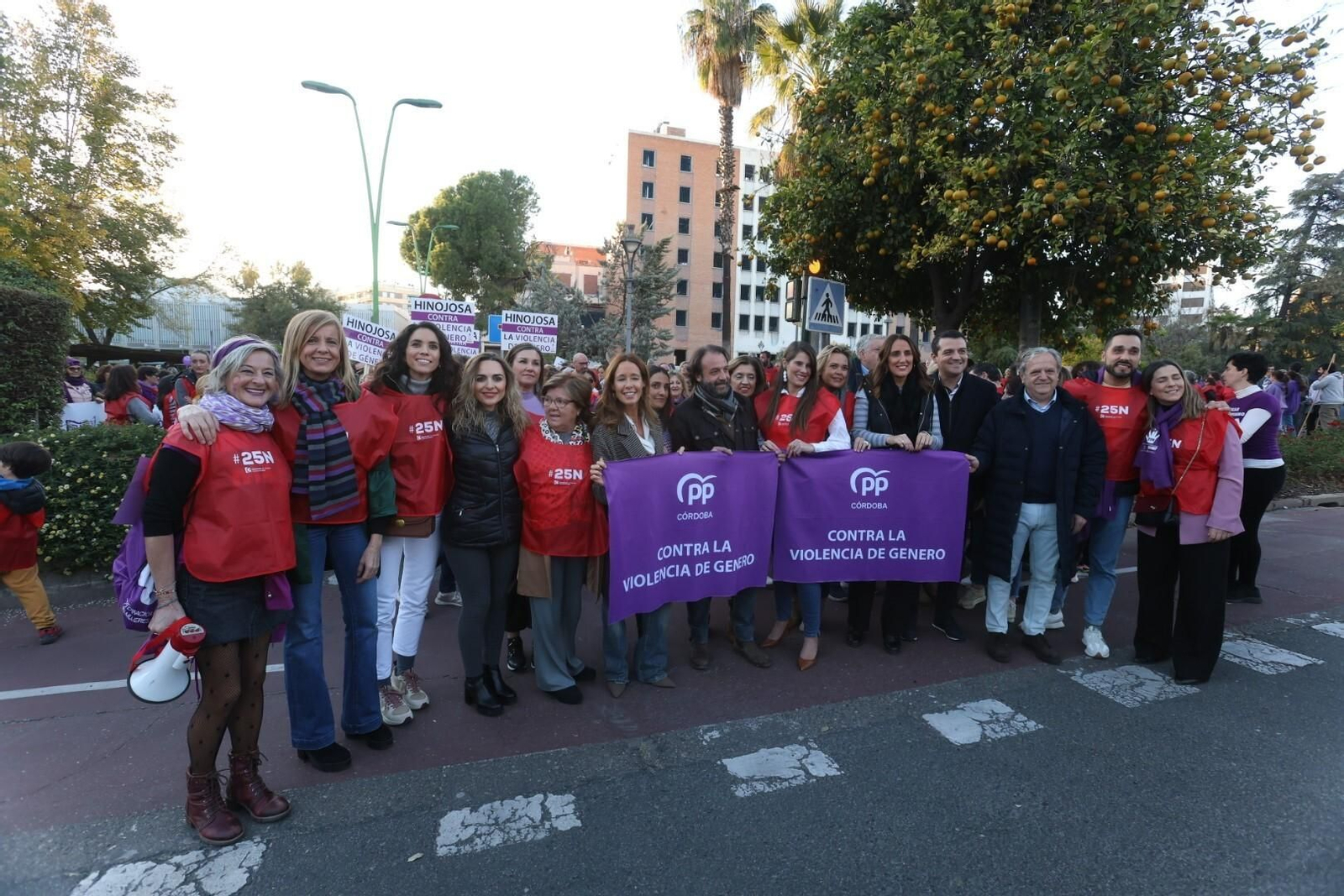 La manifestación del 25N en Córdoba, en imágenes