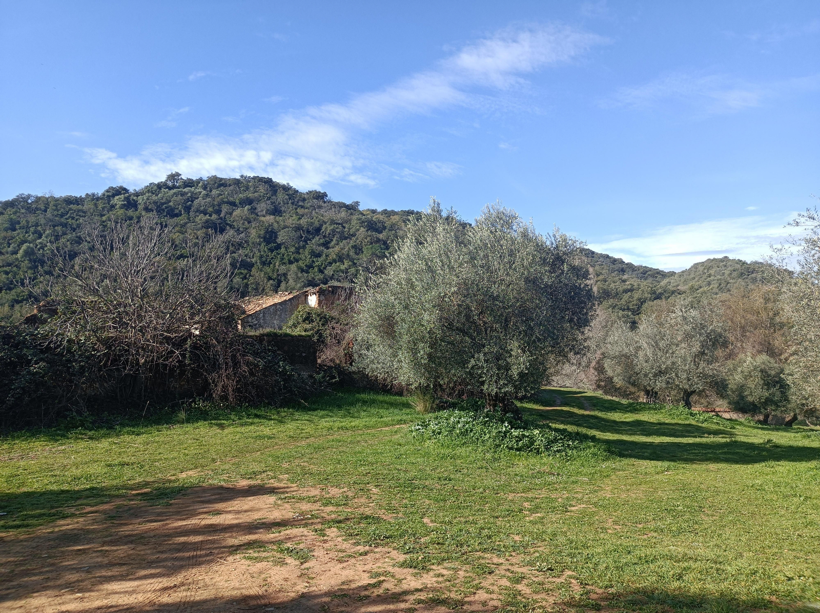Las fotos de la circular de los Molinos del Ciudadeja