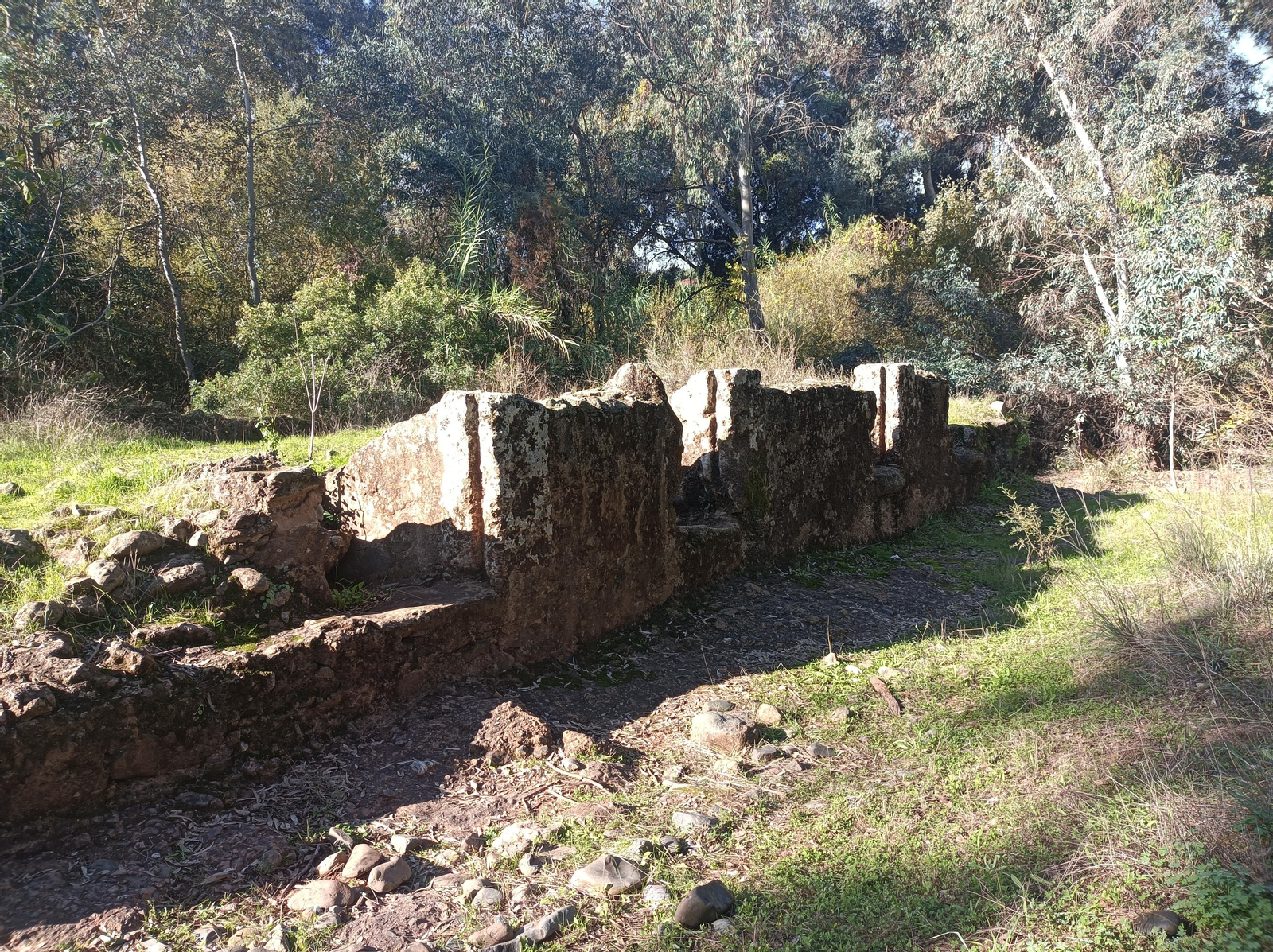 Molino de Pajarero, el primero de la excursión. Molino de Pajarero, el primero de la excursión.