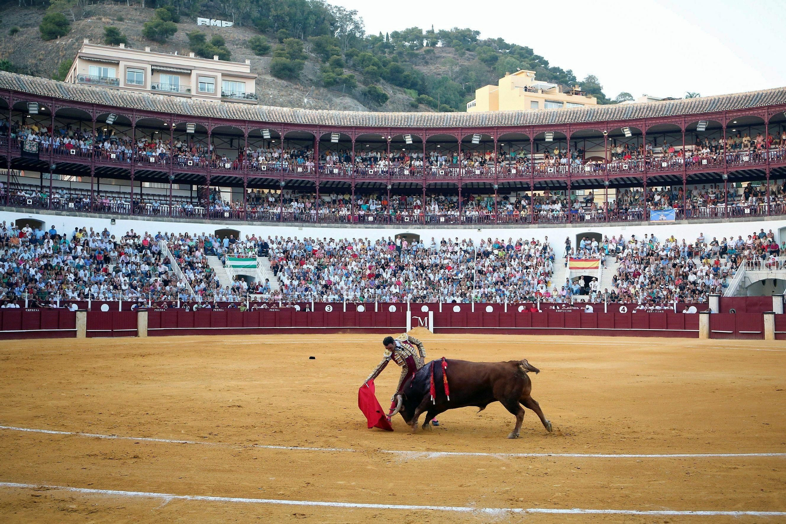 El torero Enrique Ponce, este miércoles, en La Malagueta.