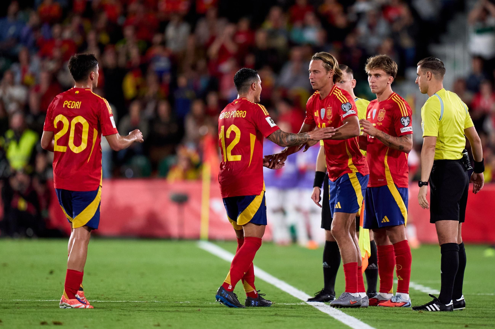 Las mejores fotos del España-Georgia