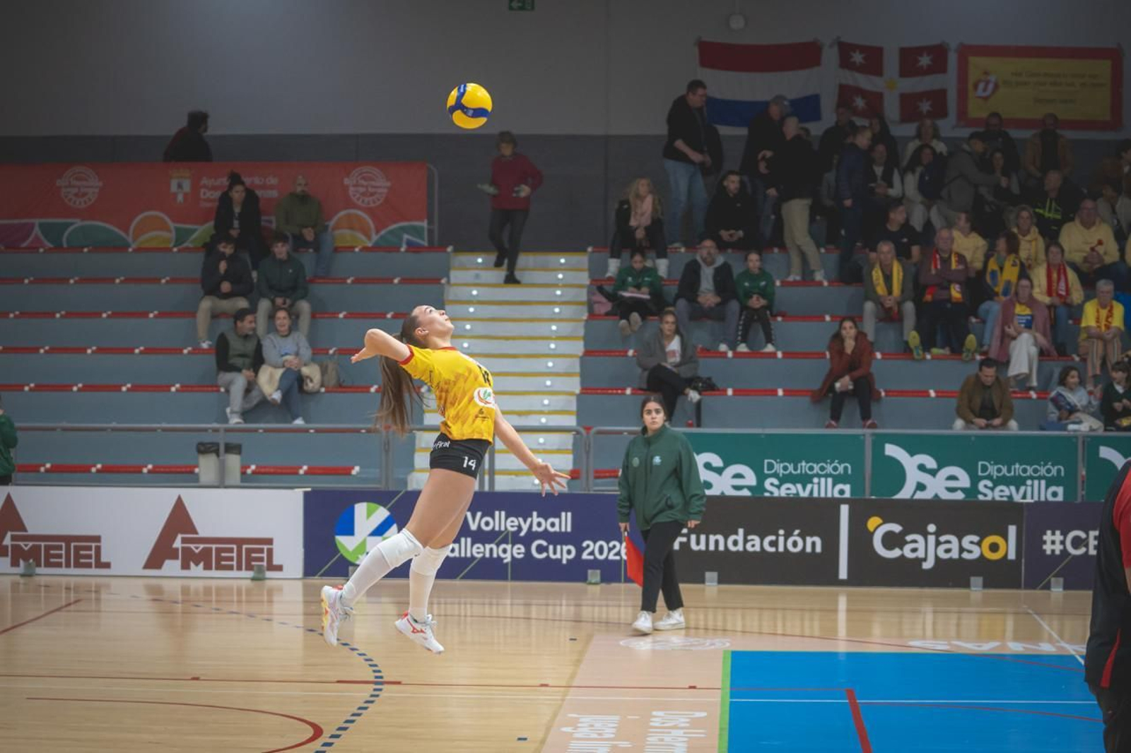 Las fotos del Fundación Cajasol Andalucía-Dynamo Apeldoorn