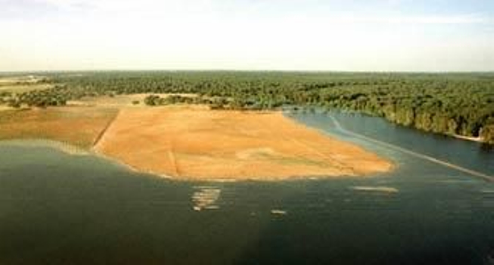 Denuncian que el impacto del vertido de Aznalcóllar "continúa" 14 años después