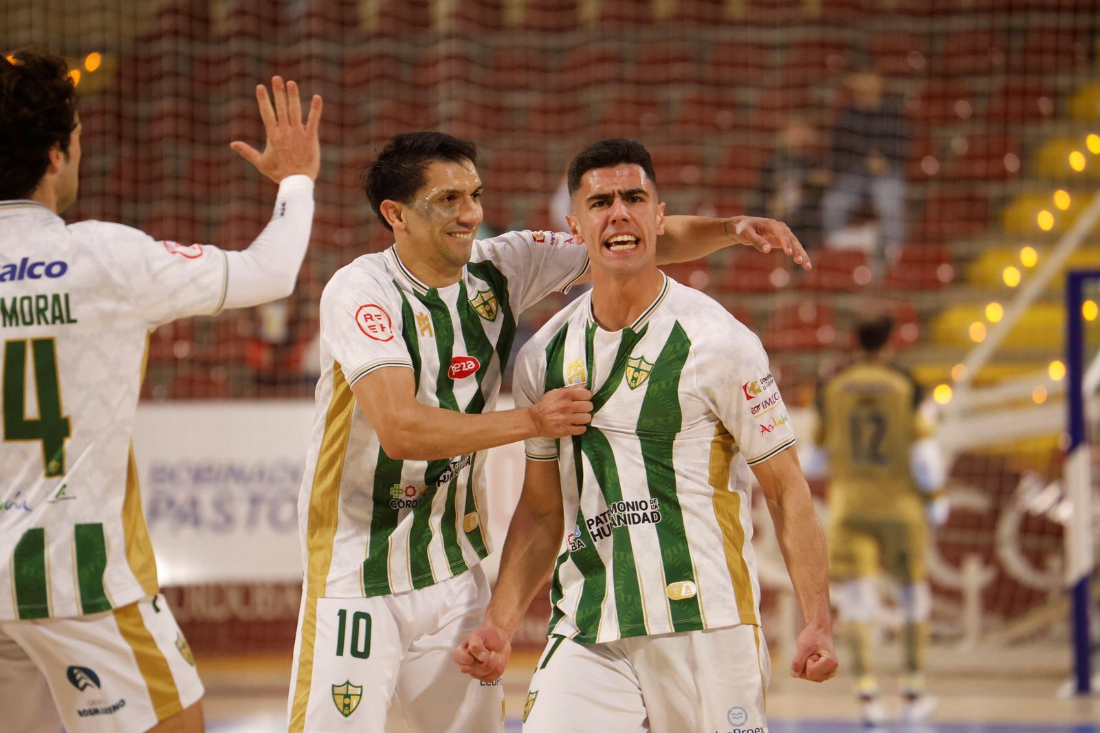Las mejores fotos del ambiente en Vista Alegre para el Córdoba Futsal - O Parrulo Ferrol