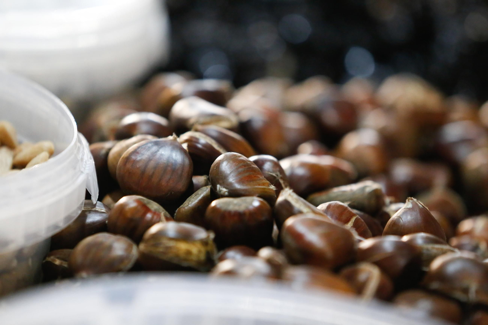 Las fotos de Tosantos 2025 en Los Barrios