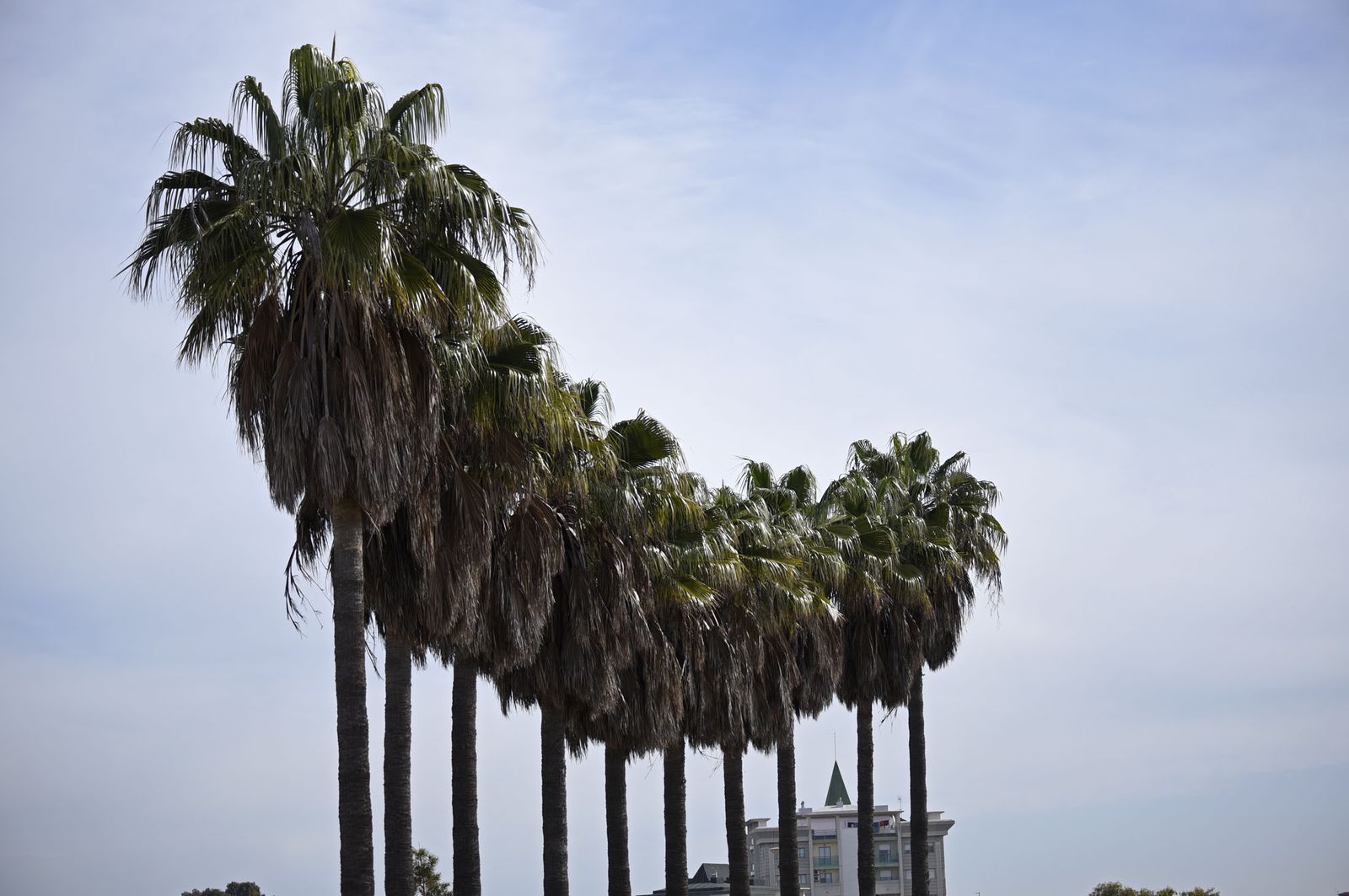 Las imágenes más destacadas del martes 26 de abril en Huelva