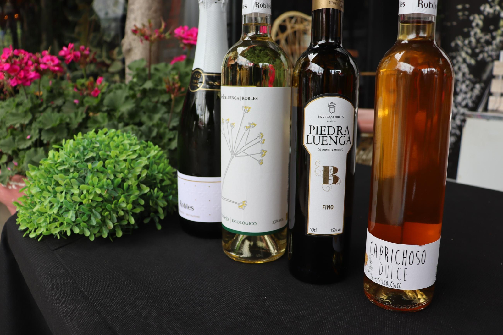Las mejores imágenes de Córdoba en Flor