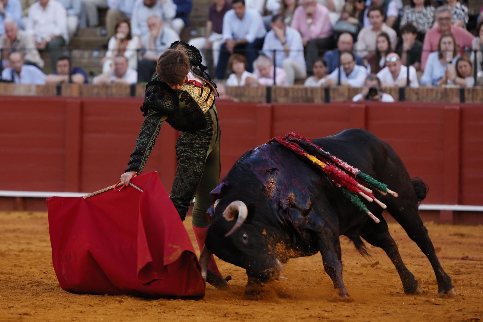 Las imágenes de la Novillada