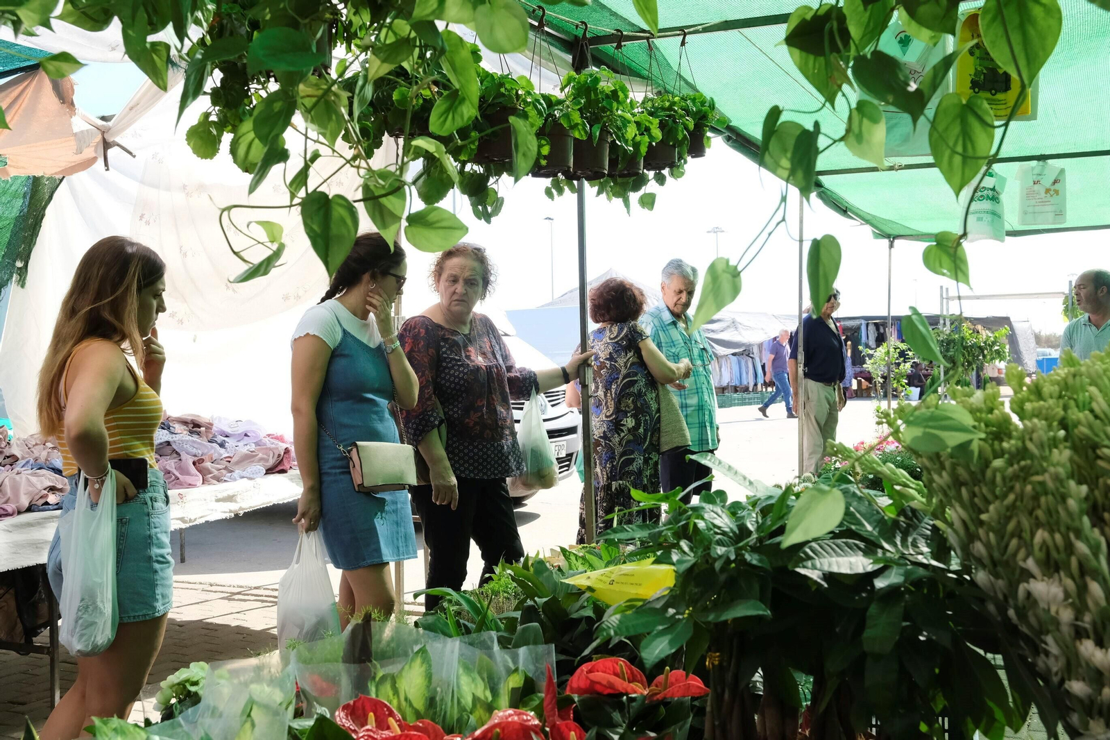 Un paseo en fotografías por el mercadillo de El Arenal un día de agosto Un paseo en fotografías por el mercadillo de El Arenal un día de agosto