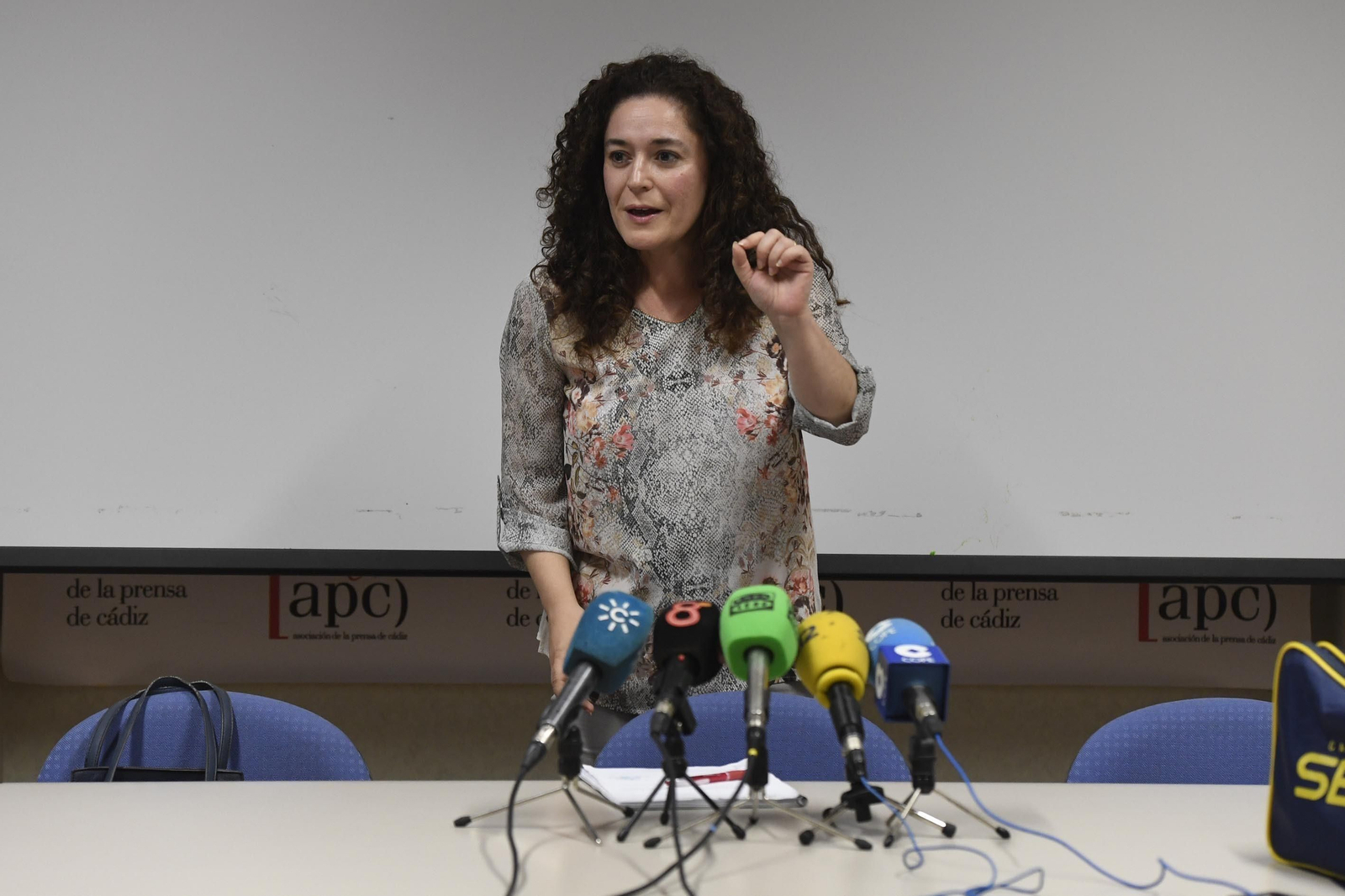 Inmaculada Nieto al inicio de la rueda de prensa que ofreció ayer en la sede de la APC.