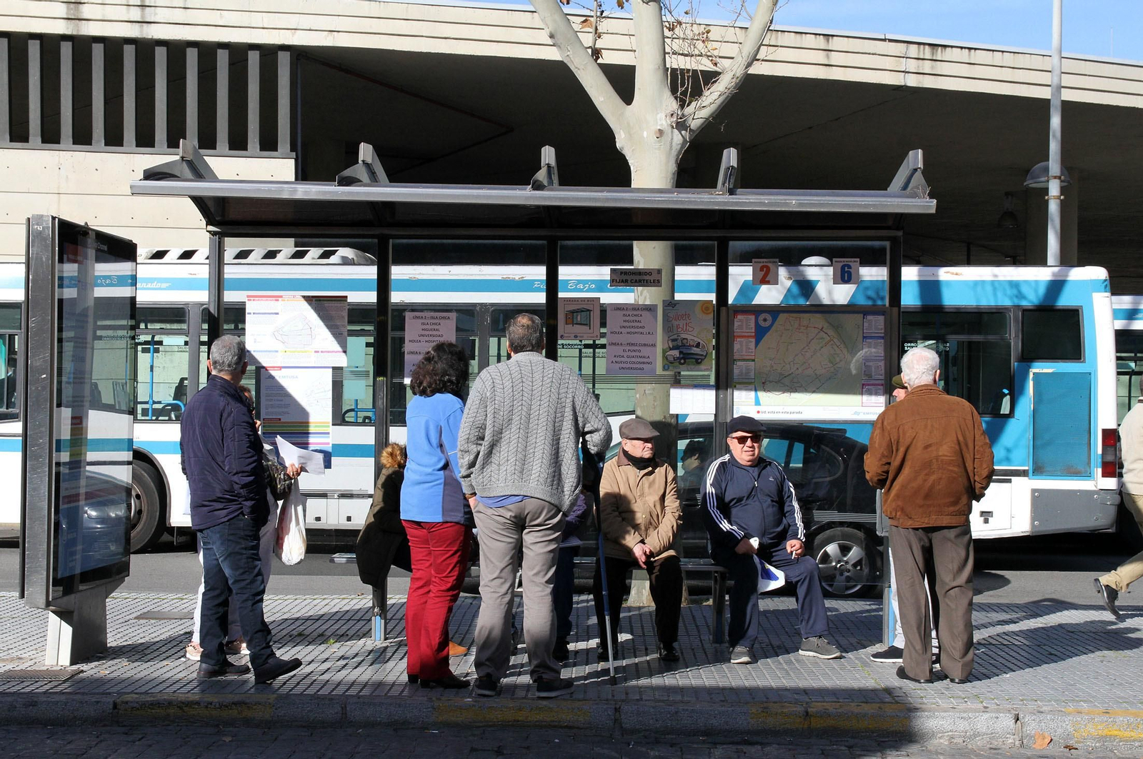 Nuevas líneas de autobuses Emtusa en imágenes
