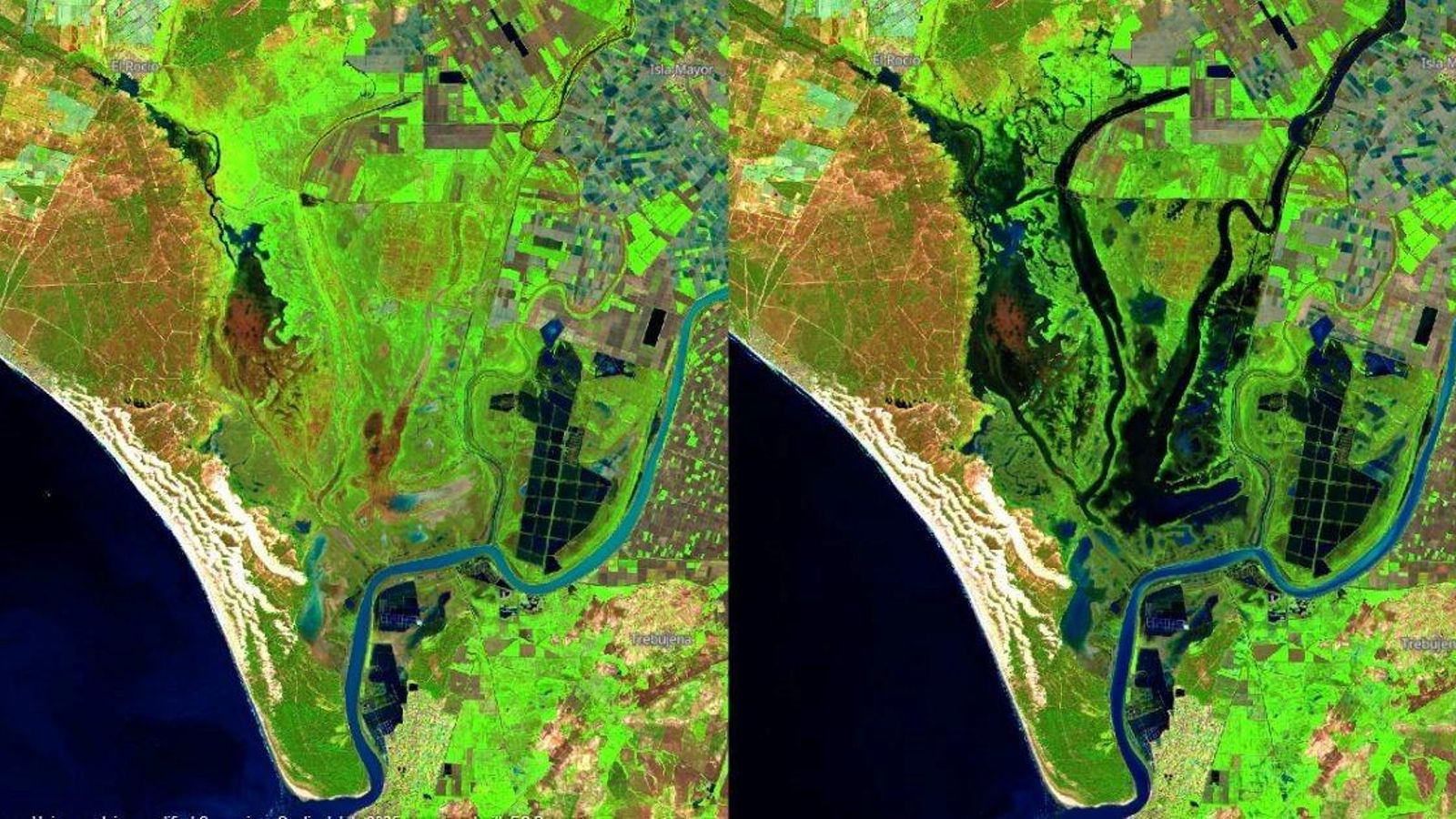 Comparación del estado de Doñana a vista del satélite Sentinel-2 de los días 15 de enero (izquierda) y 4 de febrero (derecha) de 2025.