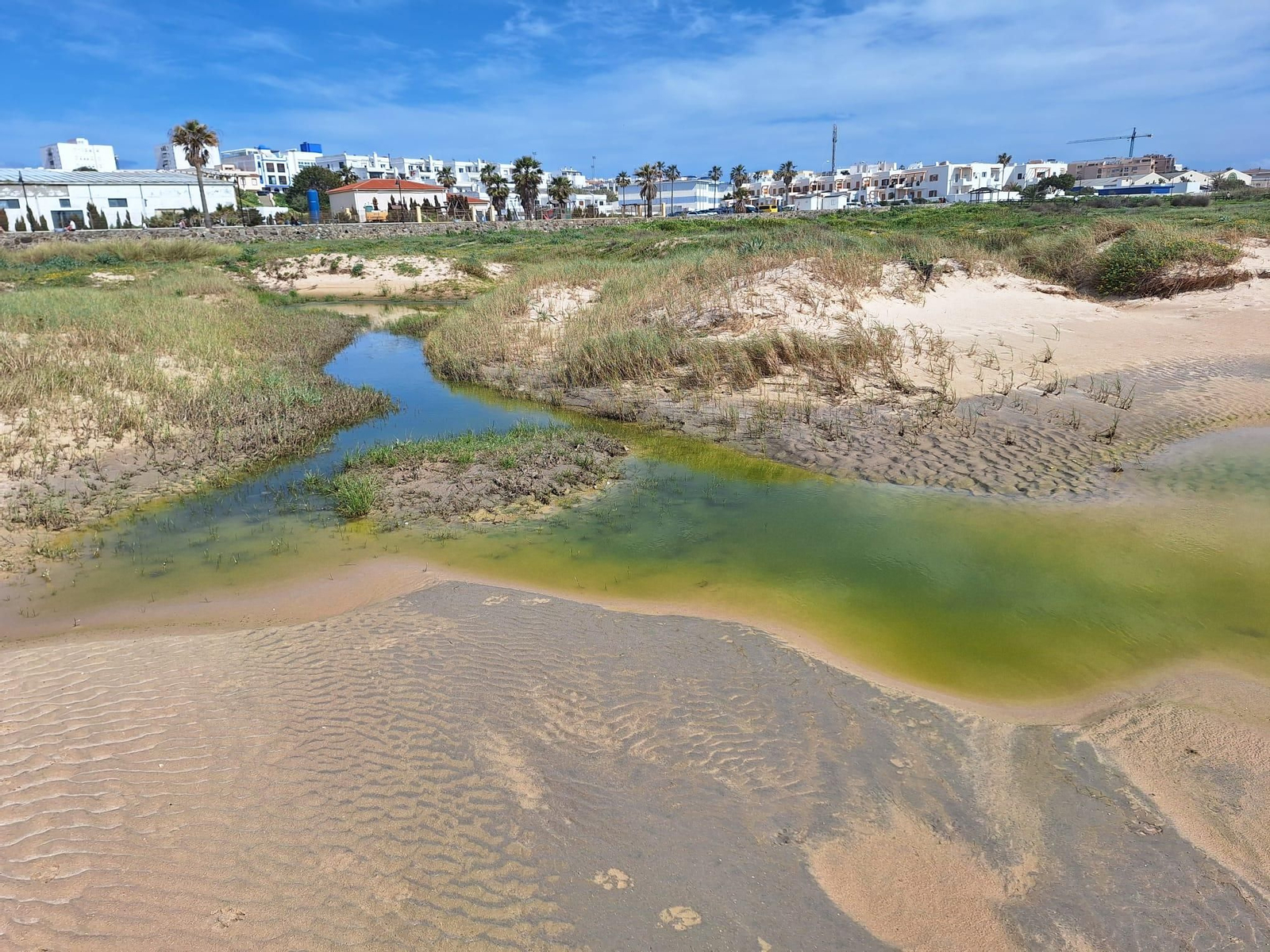 El vertido de aguas fecales en la playa de Los Lances de Tarifa, en imágenes.