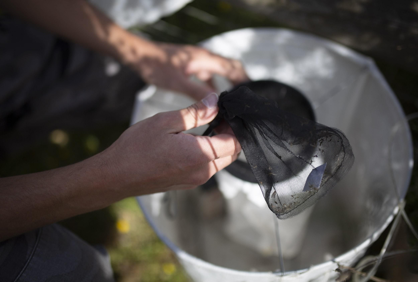 Una de las trampas para mosquitos de la Estación Biológica de Doñana.