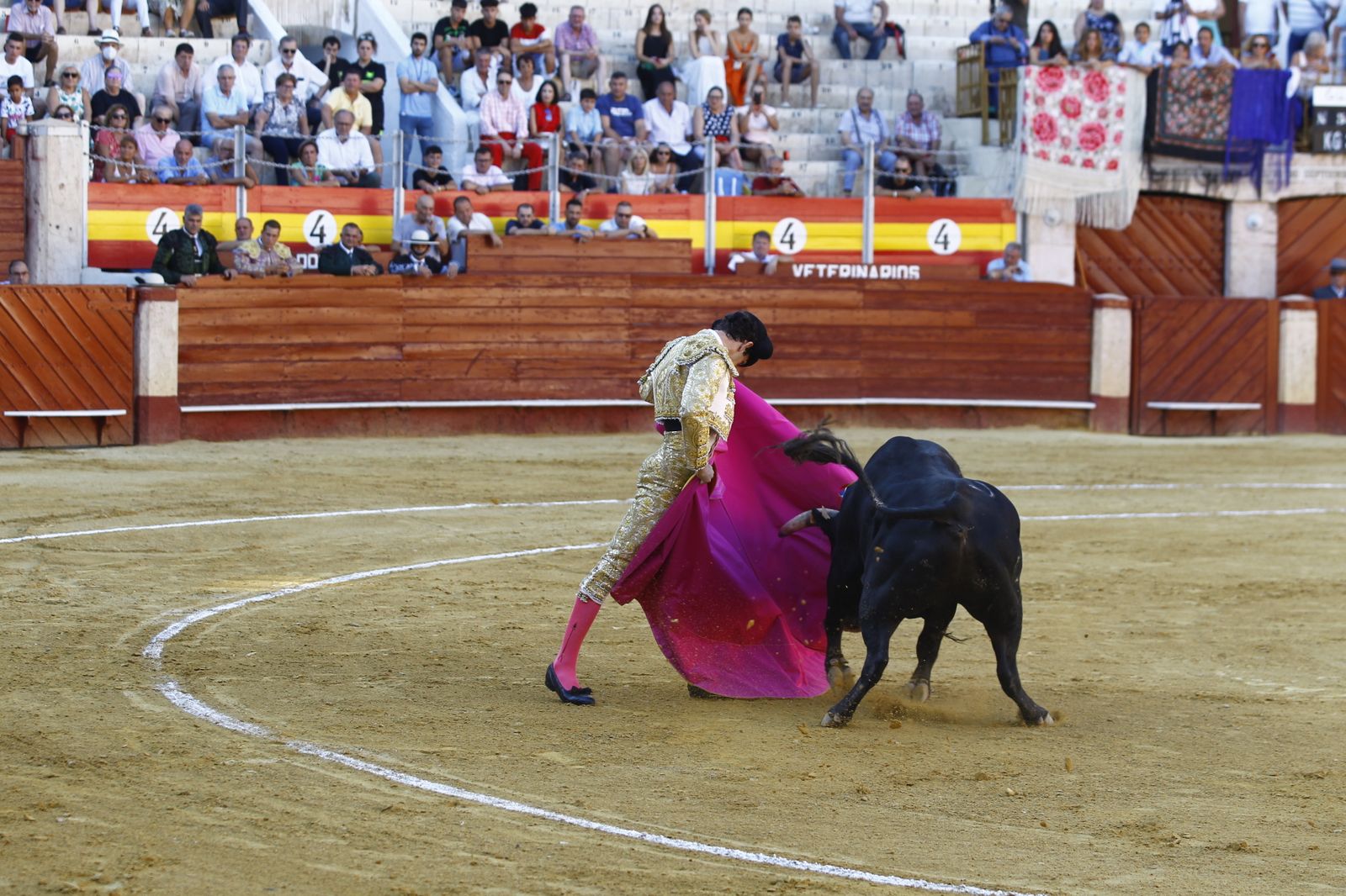 Fotogalería de la novillada de la Feria Taurina de Almería 2022