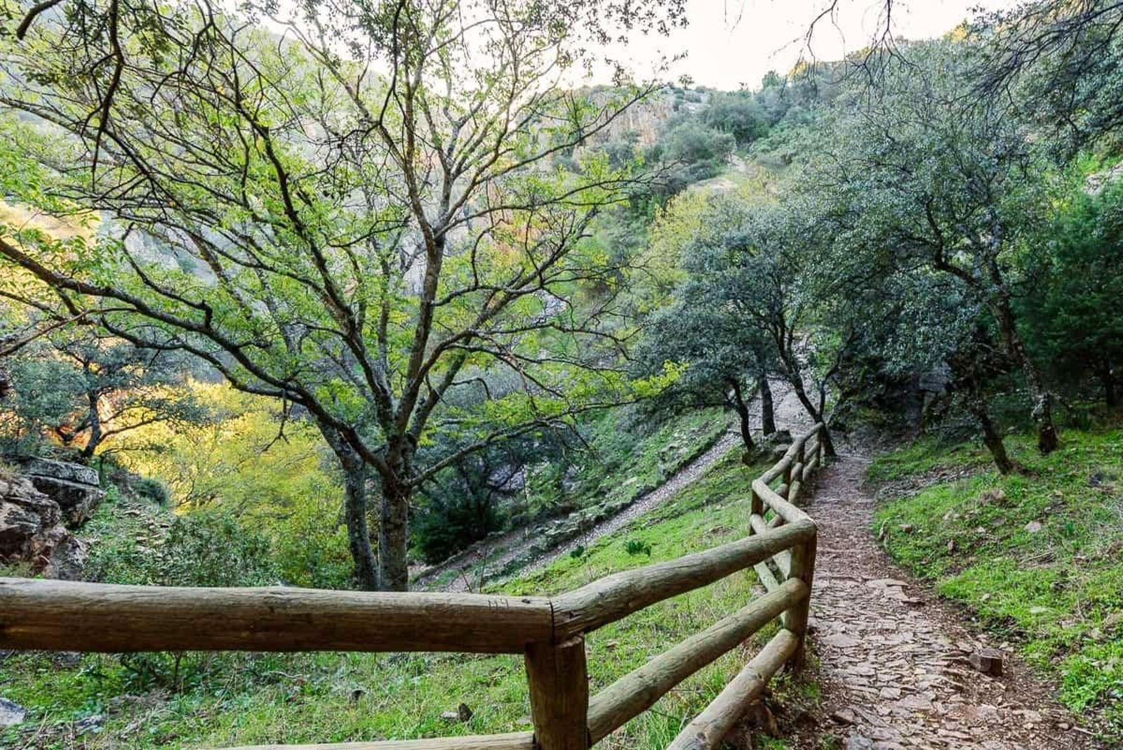 La ruta de la Cascada de la Cimbarra es uno de los destinos naturales para este fin de semana.