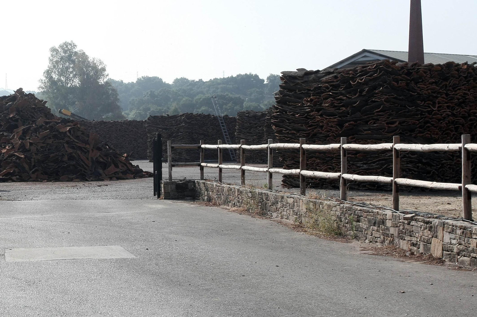 Por primera vez: la saca de La Almoraima (II)