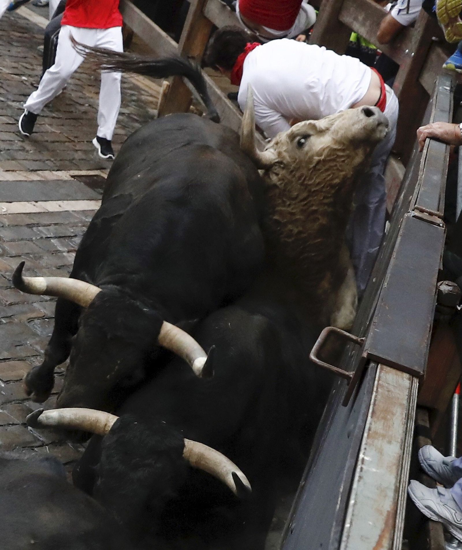 Las imágenes del encierro de los toros de Jandilla