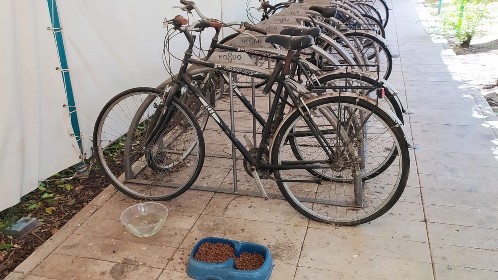 Las bicis abandonadas y los comederos para los gatos.