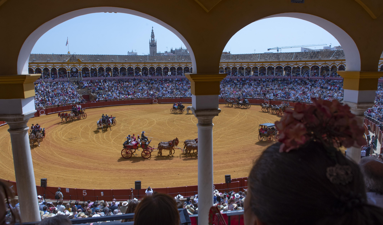 Las imágenes de la Exhibición de Enganches en la Maestranza