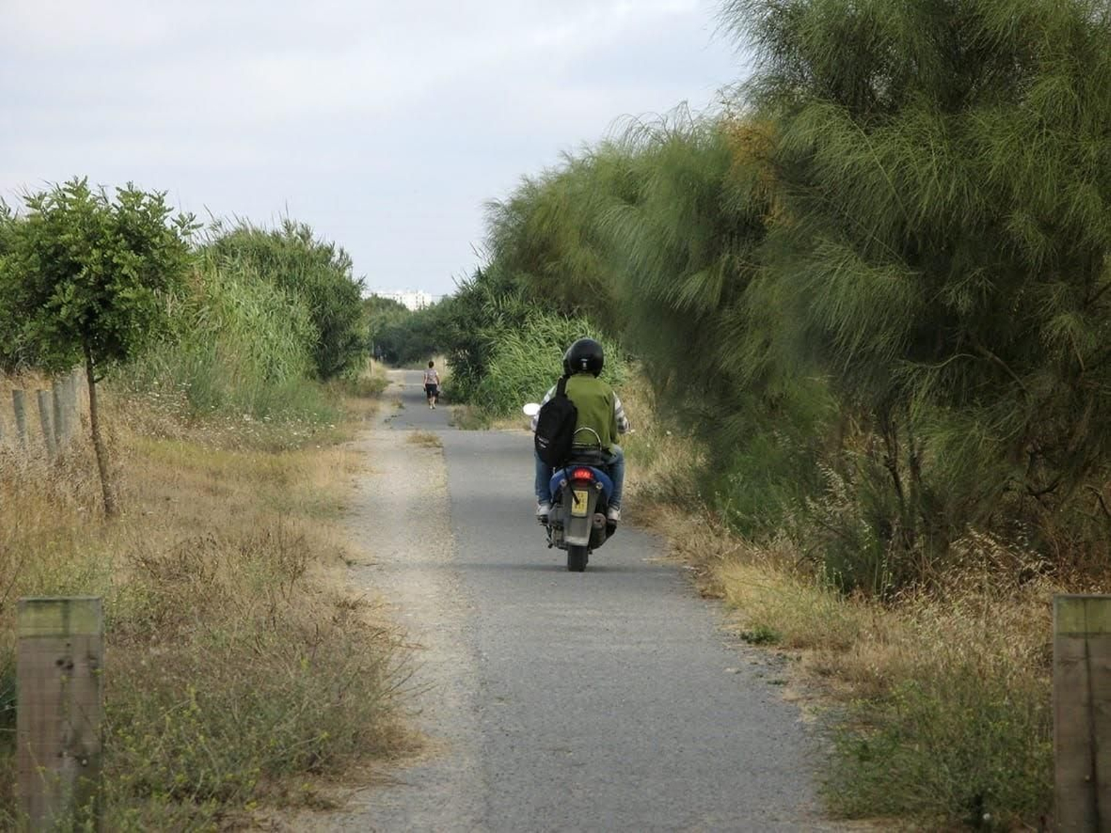 Una de las fotografías difundidas por Ecologistas en Acción para denunciar el estado de "abandono" del tramo roteño de la vía verde comarcal.
