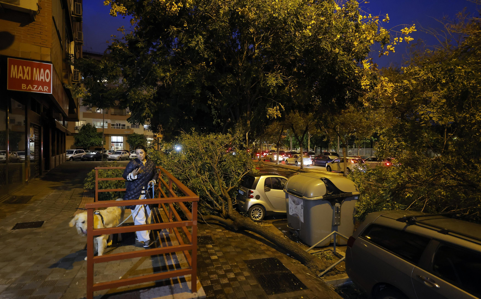 Los efectos de la borrasca 'Bernard' en Sevilla, todas las fotos