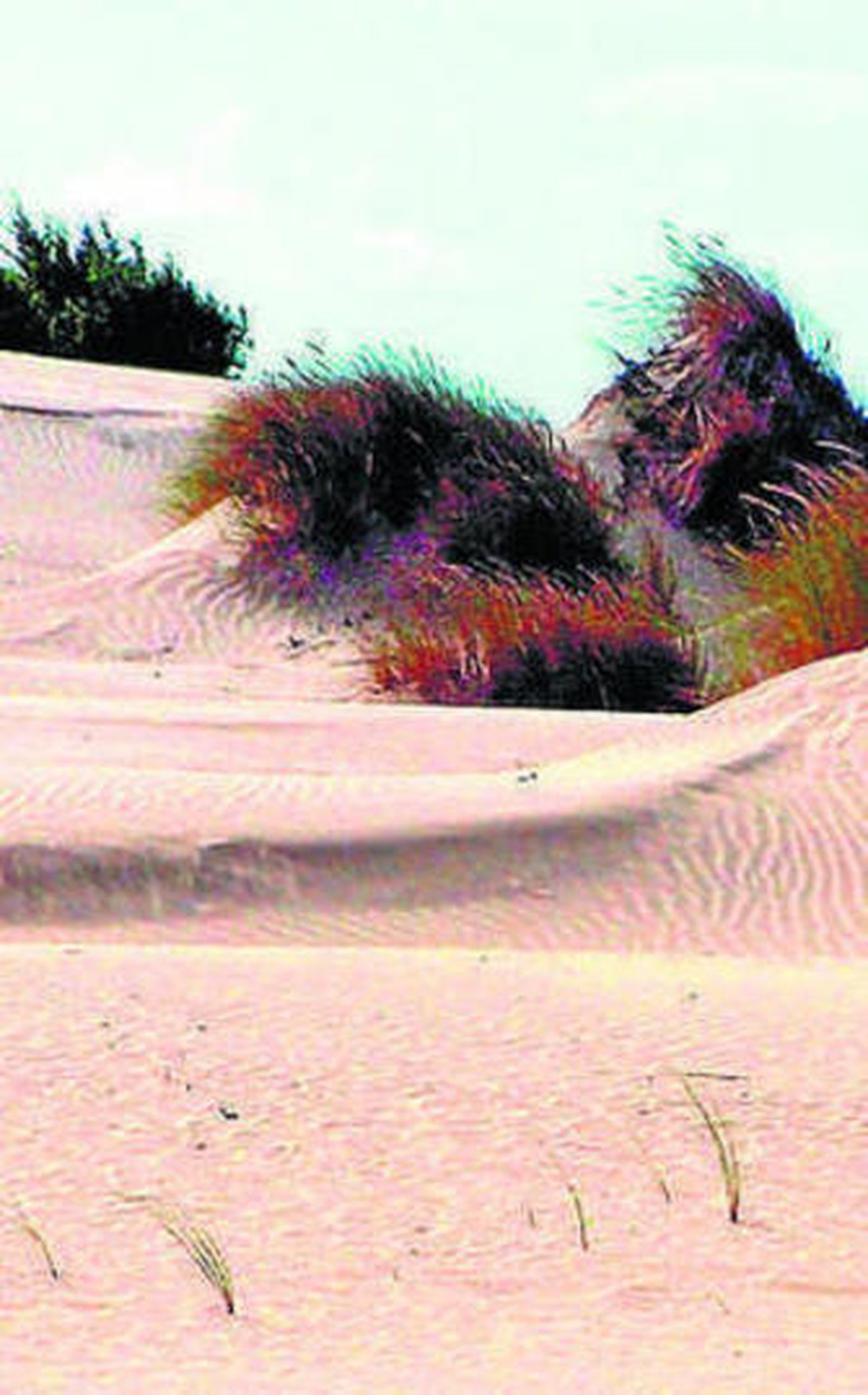 Cross Dunar en Matalascañas