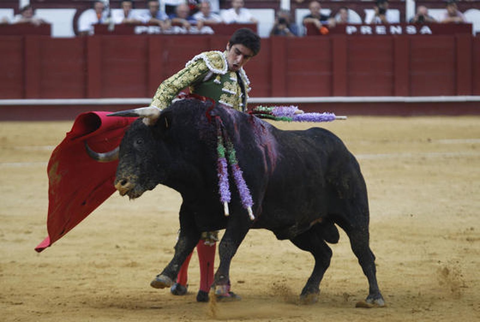 Foto: Sergio Camacho