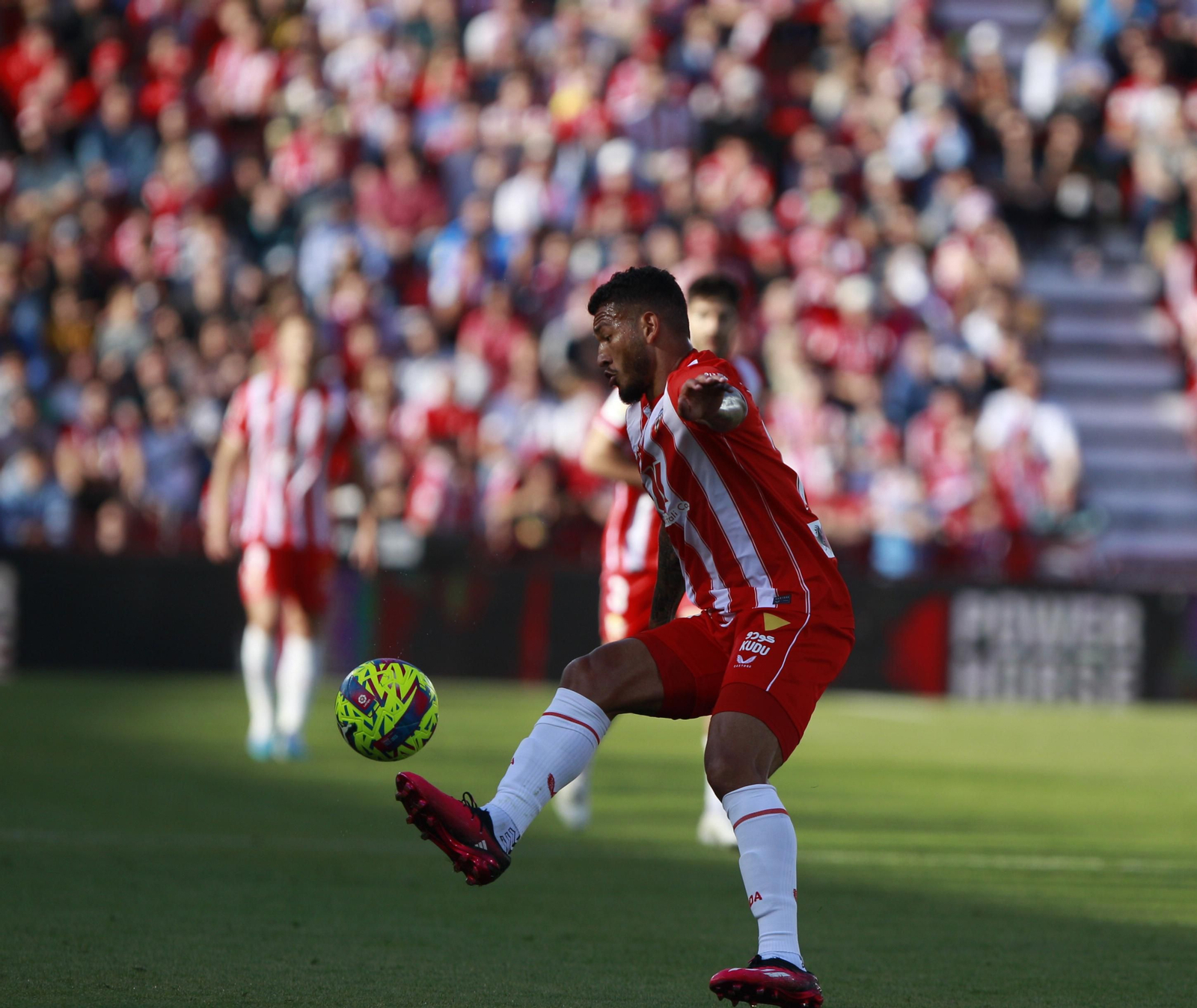 Fotogalería del partido de la Liga Santander, U.D. Almería-Valencia