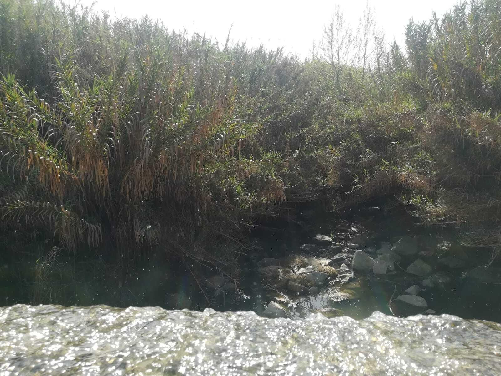 La ruta del Río Pudio por Espartinas, en imágenes