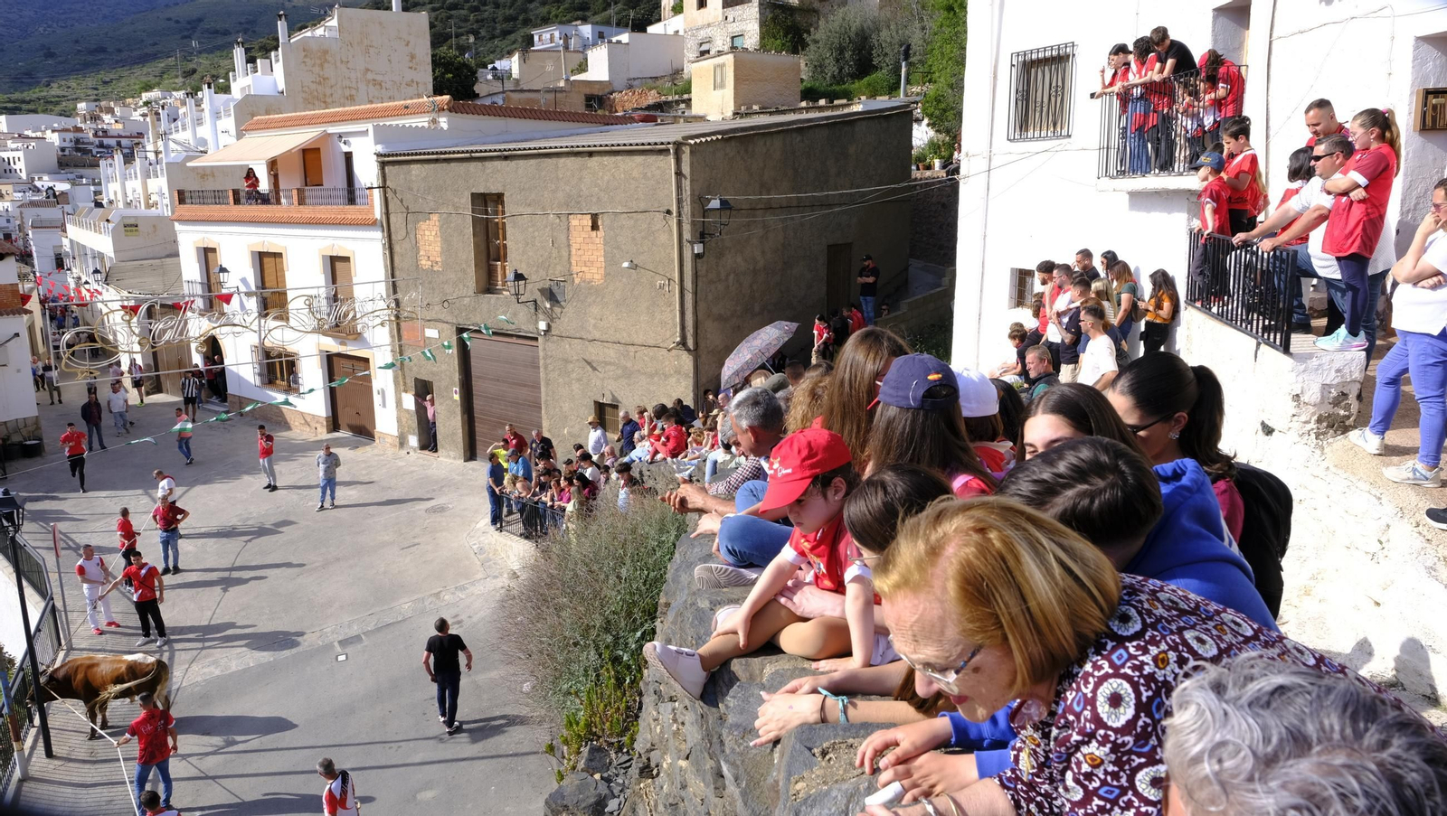Los toros ensogados de Ohanes, en imágenes