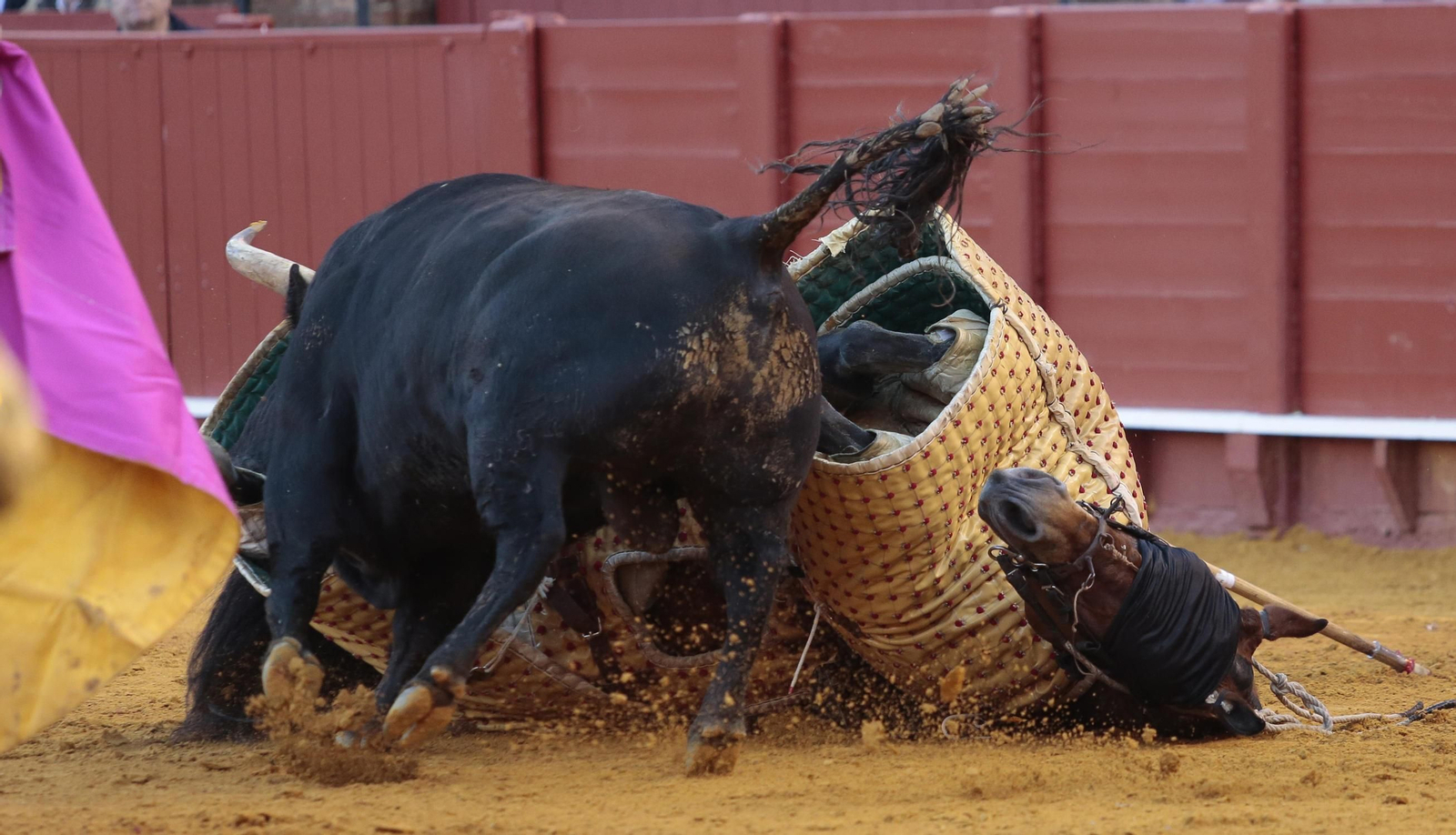 Alejandro Talavante.