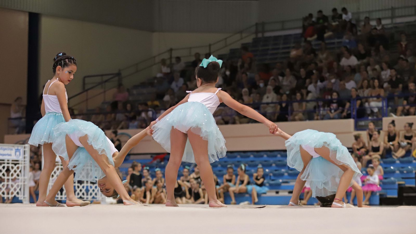 Fotos del Torneo Comarcal de gimnasia rítmica en Algeciras