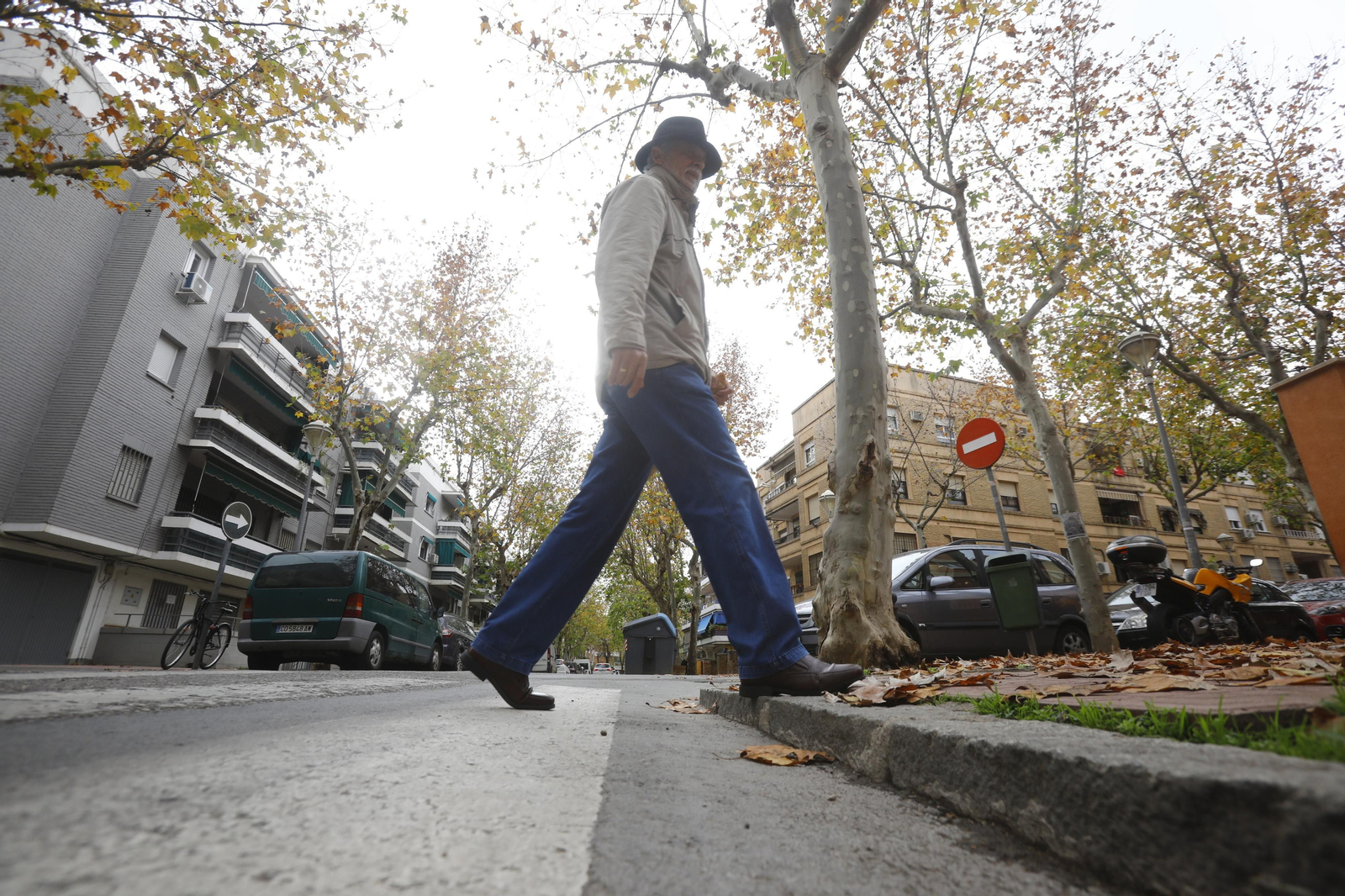 Imágenes de algunos de los pasos de peatones de Córdoba en los que se mejorará la accesibilidad