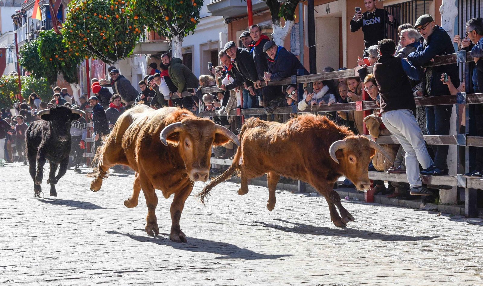 Las imágenes de los festejos de San Sebastián en La Puebla del Río 2026